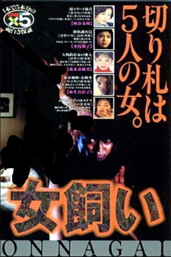 Movie poster for The Woman Tamer (1995)