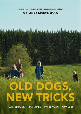 Movie poster for Old Dogs, New Tricks