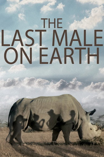 Movie poster for The Last Male on Earth (2019)