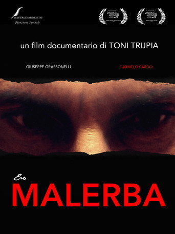 Movie poster for Ero Malerba (2016)