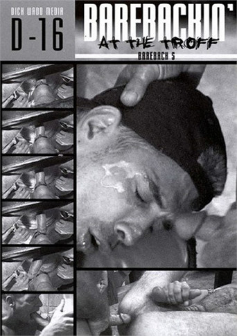 Movie poster for Bareback 5: Barebackin' At The Troff (2002)
