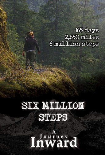 Movie poster for Six Million Steps: A Journey Inward (2011)