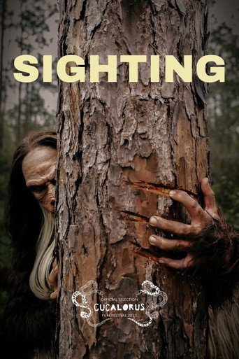 Movie poster for Sighting (2025)