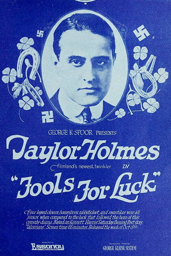 Movie poster for Fools For Luck (1917)