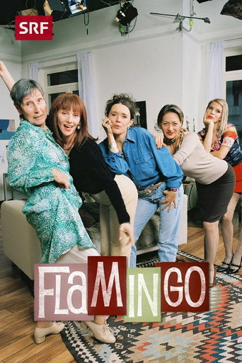 Series poster for Flamingo (2004)