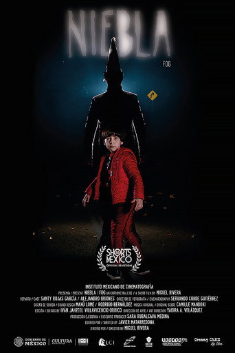 Movie poster for Fog (2021)
