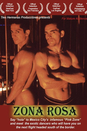 Movie poster for Zona Rosa (2005)