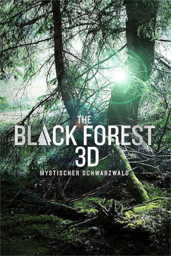 Movie poster for The Black Forest - Mystischer Schwarzwald (2013)