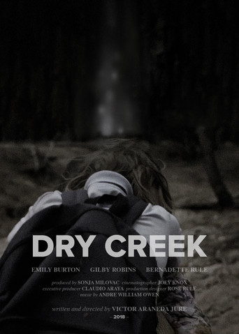 Movie poster for Dry Creek (2019)