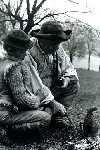 Starý včelár poster