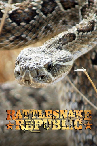 Series poster for Rattlesnake Republic (2011)