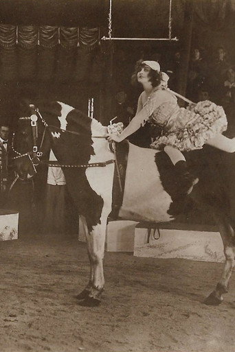 Movie poster for Um Krone und Peitsche (1919)