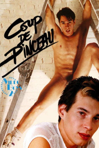 Movie poster for The Painter's Master Stroke (1993)