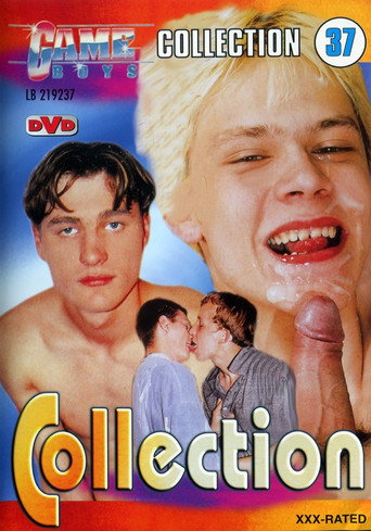 Movie poster for Game Boys Collection 37