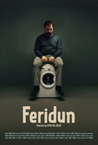 Feridun poster