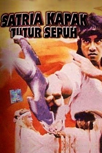 Movie poster for The Old Ax Warrior Said (1990)