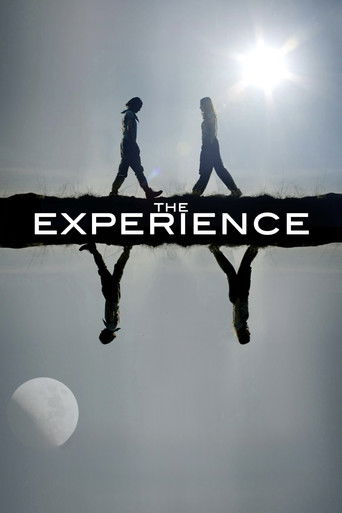 The Experience poster