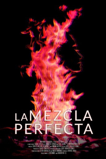 Movie poster for La mezcla perfecta (2020)