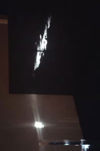 Metallic Shadow in the Dream - Window poster