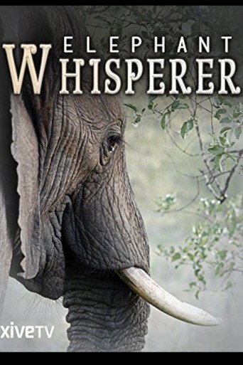 Movie poster for Elephant Whisperer (2012)