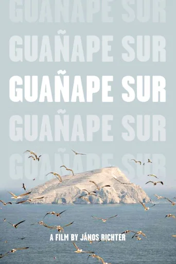 Movie poster for Guañape sur (2011)