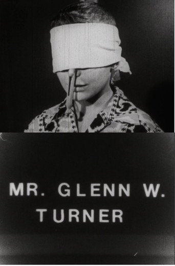 Movie poster for Mr. Glenn W. Turner (1990)