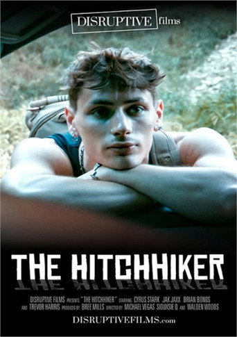 Movie poster for The Hitchhiker (2024)