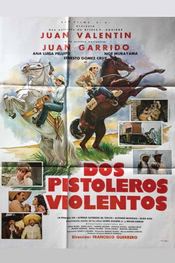 Movie poster for Dos pistoleros violentos (1985)