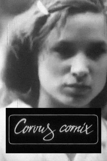 Movie poster for Corvus Cornix - From Latin as Raven (1988)