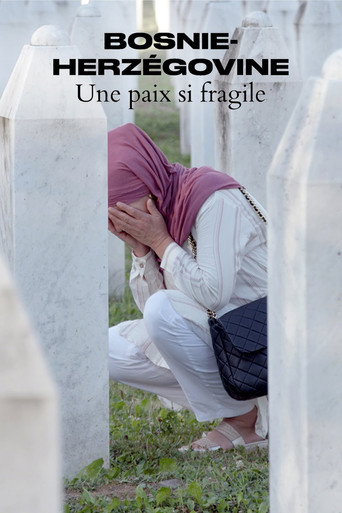 Movie poster for Bosnie-Herzégovine - Une paix si fragile (2023)