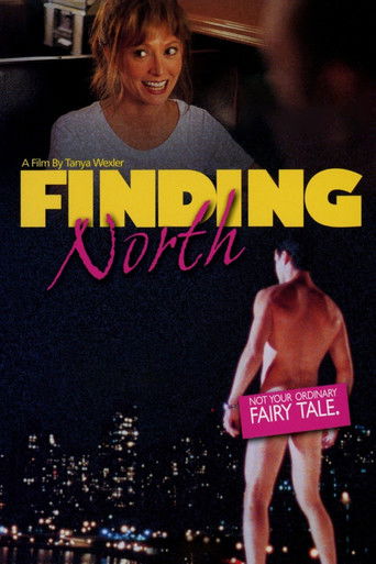 Finding North poster