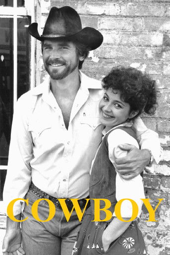 Cowboy poster