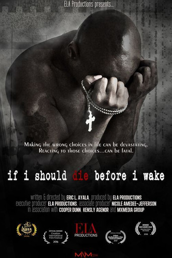 Movie poster for If I Should Die Before I Wake (2018)