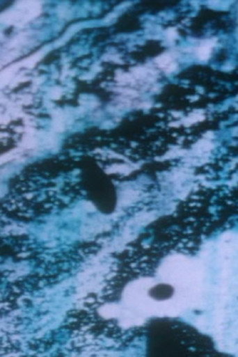 Movie poster for Anomalies of the Unconscious (2003)