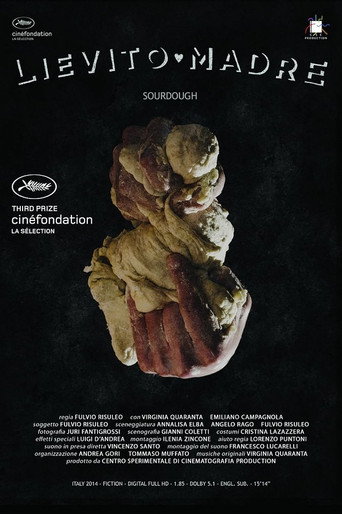 Movie poster for Sourdough (2014)