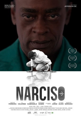 Narciso poster