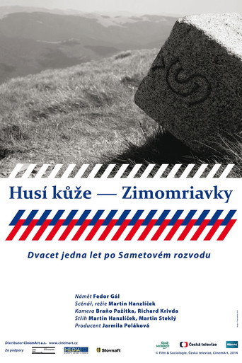 Movie poster for Husí kůže – Zimomriavky (2014)