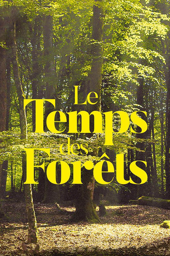 Movie poster for The Time of Forests (2018)
