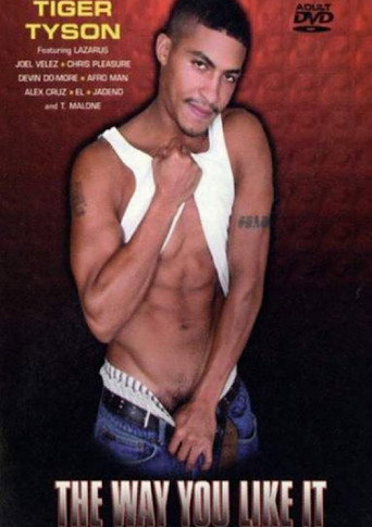 Movie poster for The Way You Like It (2004)