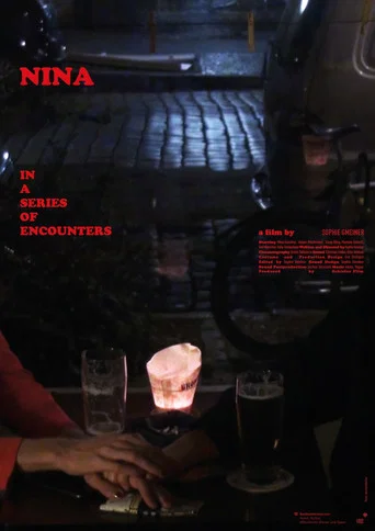 Movie poster for Nina in a Series of Encounters (2025)