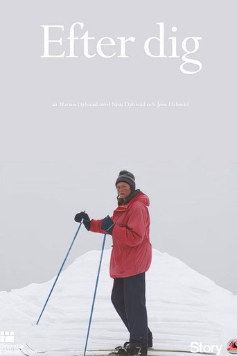 Movie poster for After You (2013)