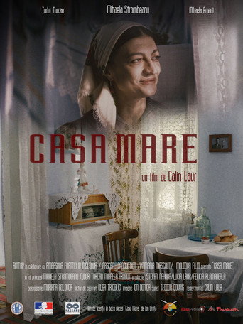 Movie poster for Casa Mare (2017)
