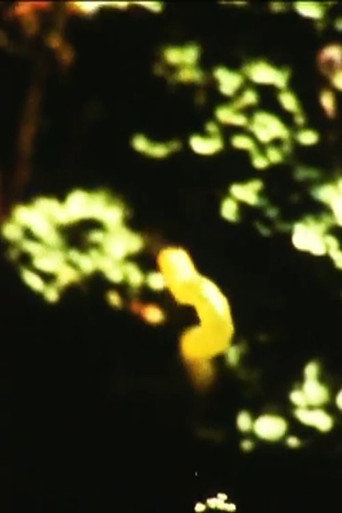 Movie poster for Caterpillar (1973)