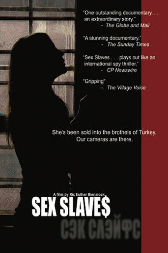 Movie poster for Sex Slaves Frontline (2006)