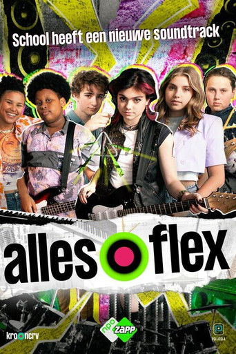 Alles Flex poster