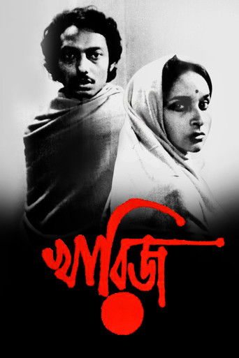 The Case Is Closed poster