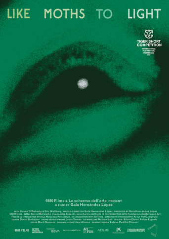 Movie poster for like moths to light (2026)