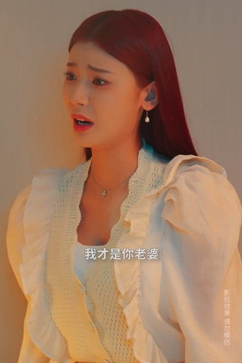 掌门老婆不简单 poster