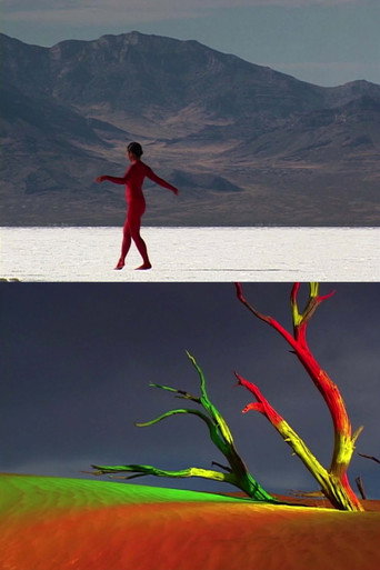 Movie poster for bodies of the desert (2005)