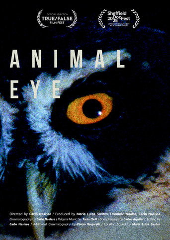Movie poster for Animal Eye (2025)